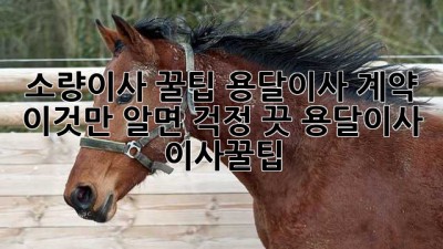 소량이사 꿀팁🍯 용달이사 계약, 이것만 알면 걱정 끗! #용달이사 #이사꿀팁